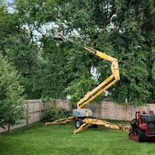 Best Tree Mulching  in Dunlap, TN